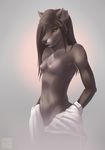  amber_eyes anthro bathrobe bedroom_eyes bite_mark black_nose breasts brown_hair canine cute female fur grey_fur hair mammal navel nipples notched_ear nude pinup plain_background pose small_breasts solo standing topless undressing wolf wyla wyla_(artist) wyla_(character) yellow_eyes 