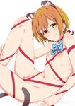  animal_ears blush bow cat_ears cat_tail clearite flat_chest green_eyes highres hoshizora_rin looking_at_viewer love_live! love_live!_school_idol_project naked_ribbon navel nipples nude orange_hair ribbon short_hair smile solo tail 