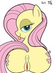  absurd_res anus butt cutie_mark equine female feral fluttershy_(mlp) friendship_is_magic fur green_eyes hair half-closed_eyes hi_res horse long_hair looking_at_viewer looking_back mammal my_little_pony pink_hair plain_background pony pussy solo tomtornados tongue tongue_out white_background yellow_fur 