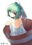  back bare_shoulders bucket green_eyes green_hair hair_bobbles hair_ornament in_bucket in_container japanese_clothes kimono kisume long_sleeves looking_at_viewer looking_back off_shoulder short_hair simple_background solo tecoyuke touhou twintails white_background wide_sleeves wooden_bucket 