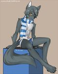  canine girly hindpaw looking_at_viewer lordwolfie male mammal paws scarf solo suto underwear wolf 