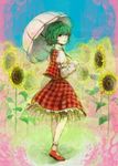  ascot bad_id bad_pixiv_id flower from_behind green_hair kazami_yuuka light_smile looking_back nayuko parasol plaid plaid_skirt plaid_vest red_eyes short_hair skirt skirt_set solo sunflower touhou umbrella vest 