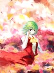  adjusting_hair akn ascot bad_id bad_pixiv_id dress field flower flower_field green_hair kazami_yuuka light_smile petals red_eyes ribbon short_hair skirt skirt_set solo touhou traditional_media vest 