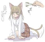 animal_ears arm_support blouse blush cat_ears cat_tail cat_teaser copyright_request leaning_forward light_brown_hair long_hair miniskirt plaid sidelocks skirt socks solo_focus tail tail_wagging thighhighs translated tsundere white_legwear yellow_eyes you2 zettai_ryouiki 