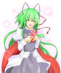  antennae green_hair hemogurobin_a1c highres long_hair older solo touhou touhou_ningyougeki valentine very_long_hair wriggle_nightbug 