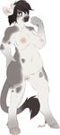  bovine breasts cattle chubby female hair hooves horn looking_at_viewer maim mammal nipples nude plain_background pussy solo spots standing white_background 
