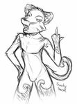  anthro bipedal black_and_white bulge fawsky_fawsk_(artist) feline hand_on_hip legwear looking_at_viewer male mammal middle_finger monochrome open_mouth plain_background round_ears sharp_teeth signature sketch source_uploader standing teeth white_background 