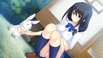  1girl animal ass ayase_hazuki black_hair blush bow bowtie breasts bunny eyes_closed feet game_cg grass happy highres kamidere large_breasts legs long_hair panties pantyshot pink_eyes rabbit school_uniform shoes skirt smile squatting thighs underwear upskirt 