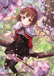  ahoge beret black_legwear blurry brown_hair cherry_blossoms depth_of_field from_above hat highres hyuuga_azuri in_tree open_hand original petals pleated_skirt red_eyes school_uniform short_hair sitting sitting_in_tree skirt smile solo thighhighs tree 