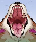 2023 ambiguous_form ambiguous_gender blue_background bodily_fluids dated drooling famir_(artist) fangs front_view fur mouth_shot obscured_eyes open_mouth orange_body orange_fur pink_tongue saliva saliva_string simple_background solo sparkles tan_body tan_fur teeth tongue tongue_out