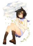  animal_ears bad_id bad_pixiv_id black_hair black_legwear blue_sailor_collar cat_ears clover flower four-leaf_clover full_body hair_flower hair_ornament loafers long_sleeves misoni_comi one_eye_closed original panties pantyshot pantyshot_(sitting) red_eyes sailor_collar school_uniform serafuku shoes short_hair simple_background sitting skirt sky socks solo umbrella underskirt underwear white_background 