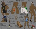 2023 5_toes abs absurd_res animal_genitalia animal_penis anthro asymmetrical_balls athletic athletic_anthro athletic_male backwards_baseball_cap backwards_hat balls baseball_cap beverage_can black_nose black_pawpads bottomless bottomless_anthro bottomless_male boxer_briefs brown_body brown_fur butt canid canine canine_genitalia canine_penis canis character_name claws clothed clothing digital_media_(artwork) domestic_dog ears_through_headwear english_text erection facial_hair feet fur g-string genitals goatee hat headgear headwear herding_dog hi_res humanoid_feet humanoid_hands jacob_caesari knot male malinois_dog mammal model_sheet mostly_nude navel nipples nude pastoral_dog pawpads penis plantigrade rear_view sampsonwoof sheath sheepdog shirt solo standing tank_top text toe_claws toes topless topless_anthro topless_male topwear underwear yellow_eyes
