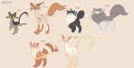 ambiguous_gender domestic_cat fan_character felid feline felis female feral group hi_res labbit1337 male mammal model_sheet warriors_(cats)