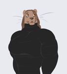  dreadlocks feline female lion mammal muscles muscular_female ritts rochelle_barnette solo sweater whiskers 