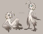 4_toes anisodactyl anthro avian beak bird blue_eyes chest_tuft claws feathered_wings feathers featureless_chest featureless_crotch feet female freckles looking_at_viewer lyra_(w4g4) nude open_beak open_mouth serareldeer simple_background skinny smile solo tail_feathers toe_claws toes tuft winged_arms wings