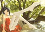  al-qalam bad_id bad_pixiv_id bare_shoulders black_hair branch collarbone couch dress expressionless full_body highres leaf leg_lift leg_up looking_at_viewer original outdoors pantyhose plant ponytail red_dress sitting sleeveless sleeveless_dress soles solo tree white_legwear 