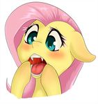  blush equine fangs female feral flutterbat_(mlp) fluttershy_(mlp) friendship_is_magic fur hair horse long_hair mammal my_little_pony open_mouth pink_hair plain_background pony saliva solo tongue white_background yellow_fur zokkili 
