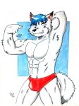 abs absurd_res anthro arctic_fox barazoku biceps big_muscles black_nose blue_eyes blue_hair bulge canid canine clothing dashthefox dj_(djdarkfox) flexing flexing_bicep flexing_muscles fox fur hair hand_behind_head hi_res looking_at_viewer male mammal manly muscular muscular_anthro muscular_male obliques pecs pinup pose red_clothing red_underwear simple_background smile tail teeth traditional_media_(artwork) underwear white_body white_fur
