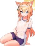  1girl animal_ears arm_support blue_archive blue_eyes blue_shorts blush breasts collarbone commentary_request flower fox_ears fox_girl gym_shirt gym_shorts hair_between_eyes hair_flower hair_ornament hairband halo highres long_hair looking_at_viewer mari_(blue_archive) mari_(track)_(blue_archive) official_alternate_costume orange_hair parted_lips shirt short_shorts short_sleeves shorts simple_background sitting small_breasts solo sweat teeth white_background white_flower white_hairband white_shirt windon yellow_halo yokozuwari 