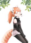  1girl absurdres animal_ears black_hair brown_hair elbow_gloves extra_ears gloves highres kemono_friends kuromitsu_(9633_kmfr) long_hair multicolored_hair outdoors pantyhose ponytail red_panda_(kemono_friends) red_panda_ears red_panda_girl red_panda_tail shorts simple_background sleeveless solo sweater tail white_hair 