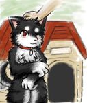  canine cerb0980 chest_tuft collar dog dog_house fur hand_on_head kemono mammal one_eye_closed pixiv red_eyes solo standing tailwag tuft wink 