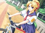  1girl bicycle black_legwear blonde_hair blue_eyes breasts game_cg highres kiriya_erika legs long_hair looking_at_viewer medium_breasts ponytail school_uniform shironeko_sanbou sitting skirt smile solo thighs tree trees tsuyokiss 