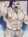  1boy abs absurdres another_eidos-r bara bear_boy beard_stubble bulge chest_tuft covered_penis cross_scar excessive_armpit_hair furry furry_male grey_male_underwear highres huge_eyebrows huge_pectorals looking_at_viewer male_focus male_underwear mature_male muscular muscular_male navel navel_hair nipples outstretched_arm roganlin_denkon scar see-through sigvaldi_(another_eidos) solo stomach strongman_waist thick_thighs thighs topless_male underwear 