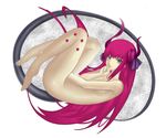  barefoot blue_eyes elizabeth_bathory_(fate) elizabeth_bathory_(fate)_(all) fate/extra fate/extra_ccc fate_(series) highres horns horororo long_hair nude pink_hair pointy_ears solo tail 