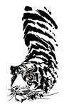 absurd_res felid feline hi_res illustration invalid_tag logo_design mammal pantherine tiger