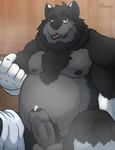  anthro balls belly biceps canine chest_tuft chubby fur grin kota looking_at_viewer male mammal muscles pecs penis precum presenting sauna solo teasing thick_penis towel tuft uncut wolf 