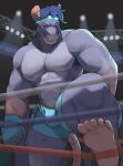 abs accessory anthro armpit_hair barazoku biceps big_muscles blue_bottomwear blue_clothing blue_eyes blue_gloves blue_hair blue_handwear blue_headband blue_headwear blue_shorts bodily_fluids body_hair bottomwear boxing bulge clothing feet fighting_ring gloves grey_body hair handwear headband headgear headwear hi_res inside lights male mammal manly murid murine muscular muscular_anthro muscular_male nipples open_mouth pecs pink_ears pink_feet pink_nipples pink_nose pink_tail rat rodent shorts shugggie smile solo sport sweat tail