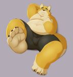 absurd_res aciag bear canid canine feet foot_fetish foot_focus fox hi_res male mammal obese overweight overweight_male paws solo toes