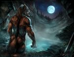  black_nose blood blue_eyes brown_fur butt canine fur hair long_hair male mammal moon nude rhyu solo stars water wolf wounded 