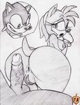  amy_rose anthro anus areola balls big_butt breasts butt erect_nipples erection female hedgehog imminent_sex looking_back male mammal monochrome nipples penis presenting presenting_hindquarters pussy rule34rox sega smile sonic_(series) sonic_the_hedgehog 