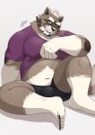 2024 anthro belly bulge clothed clothing clothing_lift hi_res kemono lifewonders live_a_hero male mammal navel overweight overweight_male procyonid raccoon ry_o shirt shirt_lift simple_background sitting solo topwear underwear viscunam