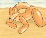 animate_inanimate beach bedroom_eyes canid canine canis chilliad chilliad_(oc) dingo hi_res humanoid laying_on_ground living_pool_toy male mammal narrowed_eyes orange_body pool_toy sand seductive solo tail