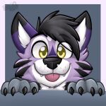 1:1 anthro biped black_body black_ears black_fur black_hair black_nose blep border canid canine claws cute_fangs fur gaokun grey_background hair headshot_portrait looking_at_viewer male mammal monotone_hair multi_tone_fur multicolored_ears paws portrait purple_body purple_ears purple_fur simple_background solo tongue tongue_out two_tone_ears watermark white_border yellow_eyes