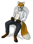 absurd_res animal_genitalia anthro black_bottomwear black_clothing black_pants bottomwear canid canine chair chest_tuft clothing dipstick_arms dipstick_ears dipstick_legs dipstick_tail doppelfoxx dress_shirt fox fur furniture genitals hands_on_legs hands_on_thighs head_tuft hi_res jakkals_van_der_bergh_(doppelfoxx) jewelry kinknine looking_at_viewer male mammal markings multicolored_ears navel neck_tuft necklace opening_pants orange_body orange_eyes orange_fur pants penis penis_tip presenting presenting_penis presenting_penis_tip presenting_sheath sheath shirt signature simple_background smile smirk solo tail tail_markings topwear tuft unzipped unzipped_pants whiskers white_background white_sheath zipper