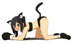  animal_ears black_hair blush brown_eyes cat_ears cat_tail gloves k-on! lavoy_(kurakuro) long_hair nakano_azusa paw_gloves paws solo tail twintails 