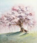  cherry_blossoms dappled_sunlight doghouse highres no_humans original painting_(medium) plant plant_focus scenery shimizu_megumi_(m_acquerello) sunlight traditional_media tree watercolor_(medium) 