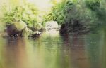  bush dappled_sunlight forest highres nature no_humans original outdoors painting_(medium) plant pond reflection reflective_water river riverbank scenery shimizu_megumi_(m_acquerello) sunlight traditional_media tree tree_shade water watercolor_(medium) 