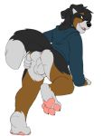  2018 anthro anus balls bernese_mountain_dog bottomless butt canine clothed clothing digital_media_(artwork) dog fur hoodie jailbird looking_at_viewer looking_back male mammal perineum presenting presenting_hindquarters ruska simple_background smile solo spreading 