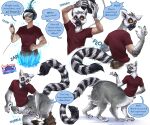 absurd_res black_and_white_fur bottomless bottomless_taur clothed clothing feet fur grey_body grey_fur hi_res larru-larru lemur lemur_taur long_tail mammal prehensile_feet primate ring-tailed_lemur strepsirrhine tail taur toes topwear transformation transformation_sequence