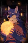  anthro black_eyes blue_body blue_fur canid canine canis clothing fur hair hi_res hoodie kenikami male mammal moon multicolored_body multicolored_fur night plant smile solo standing star topwear wolf 