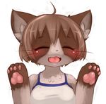  anthro blush breasts brown_fur brown_hair cat chipar clothing eyebrows eyelashes eyes_closed feline female fur hair mammal open_mouth pawpads paws plain_background short_hair solo tongue white_background white_fur young 