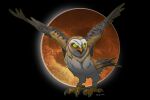 2018 ambiguous_gender avian barn_owl bird black_background brown_body brown_feathers feathers feet female_(lore) feral guardians_of_ga&#039;hoole hagsfiend ignigeno moon nyra_(gogh) open_mouth owl scar simple_background solo talons toes tyto tytonid white_body white_feathers yellow_eyes