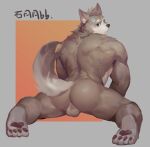  anthro balls blue_eyes blush brown_body brown_fur butt canid canine canis fur genitals hair hi_res looking_back male mammal multicolored_body multicolored_fur muscular muscular_anthro muscular_male nude paws pose simple_background solo tail two_tone_body two_tone_fur wolf wuqianlong576 