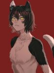 1girl animal_ears body_fur brown_hair cat_ears cat_girl cat_tail closed_mouth commentary dungeon_meshi fangs fangs_out hair_between_eyes highres izutsumi looking_at_viewer mismatched_animal_ear_colors multicolored_fur red_background sasakura34 short_hair simple_background tail upper_body yellow_eyes 