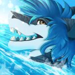  anthro blue_hair fish hair hi_res looking_at_viewer marine open_mouth open_smile partially_submerged shark sharp_teeth side_view smile solo starryprince teeth water 