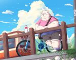  2024 absurd_res anthro bear bicycle biped black_nose bottomwear clothing detailed_background hi_res humanoid_hands kemono kemonuo male mammal outside overweight overweight_male shirt shorts solo topwear vehicle 